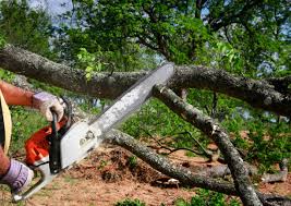 Seasonal Cleanup (Spring/Fall) in Staten Island, NY